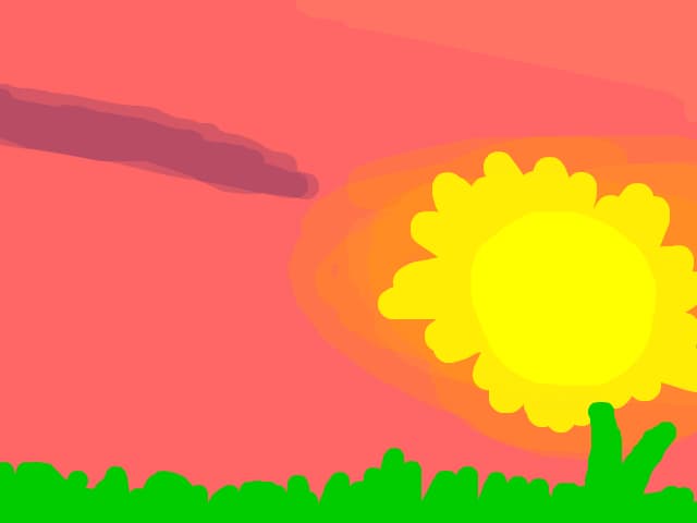 soare-floarea soarelui
