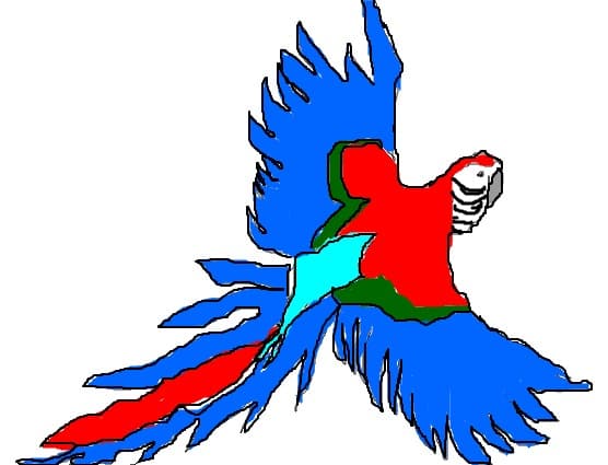papagal