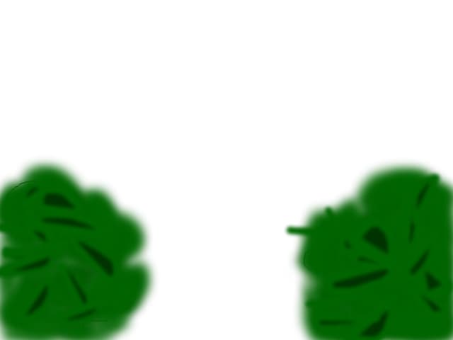 tufisuri
