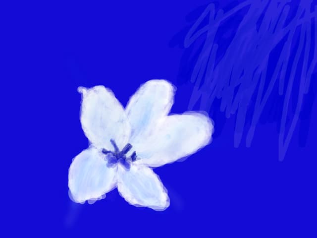 the most rare flower in the world