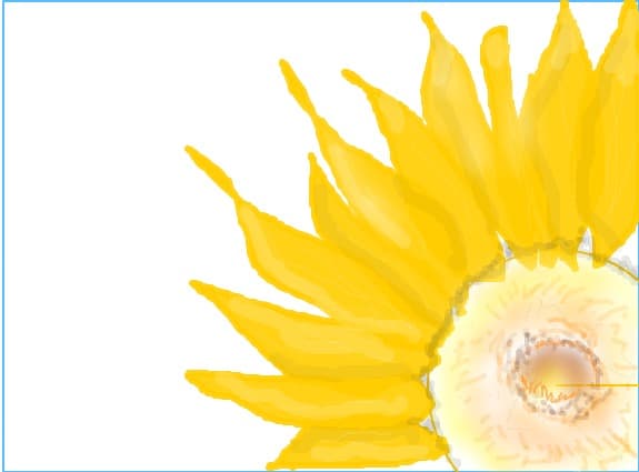 floarea soarelui