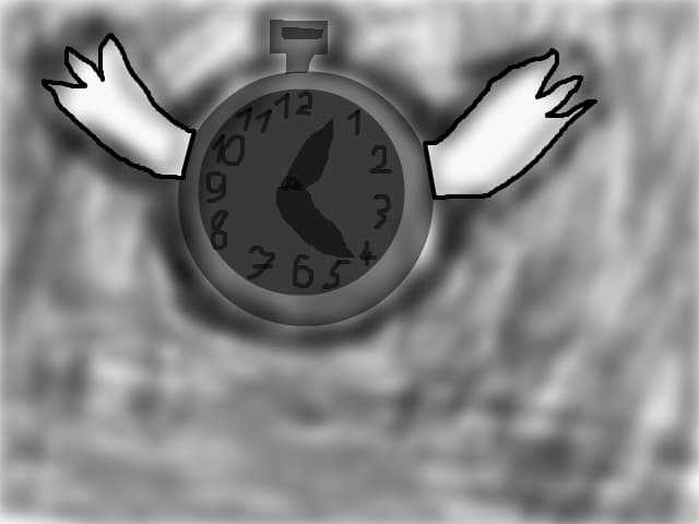 Timpul zboara