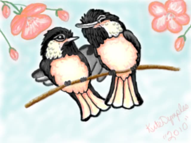 love birds