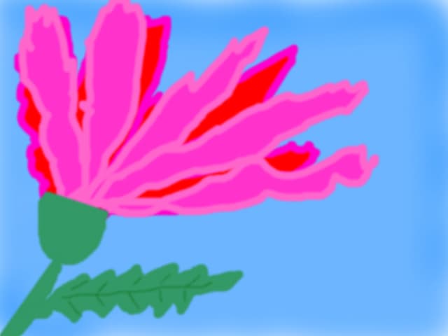 E o floricica