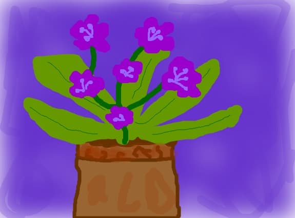a flower