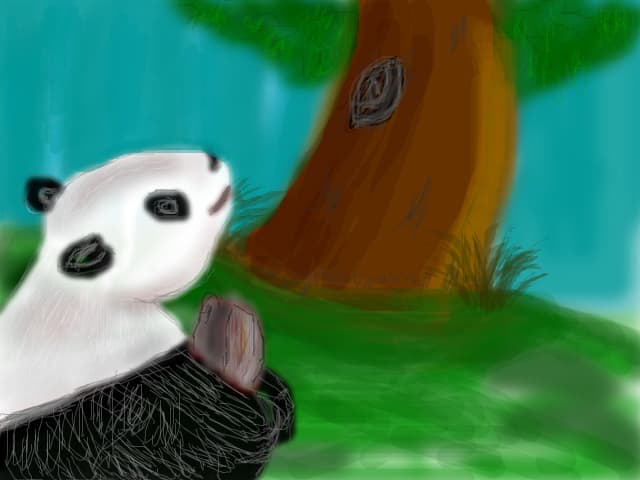 Ursul Panda