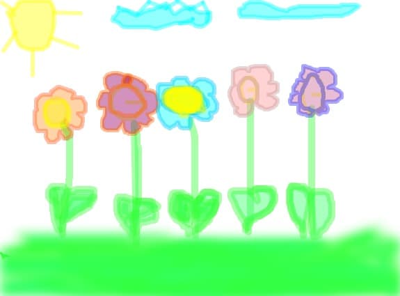 flori de campie
