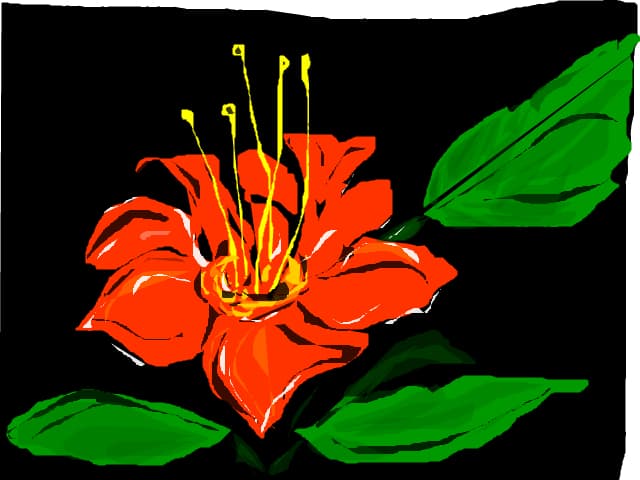 floare