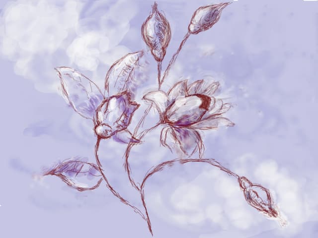 beautiful flowers