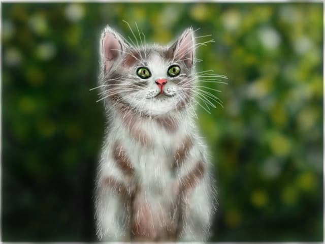 kitty,kitty