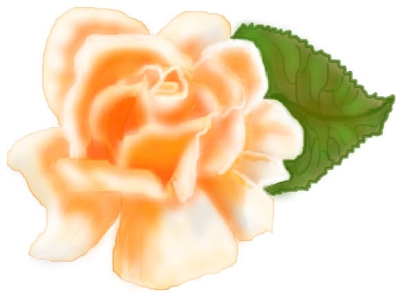 Peaches &amp;amp;amp; Cream 2