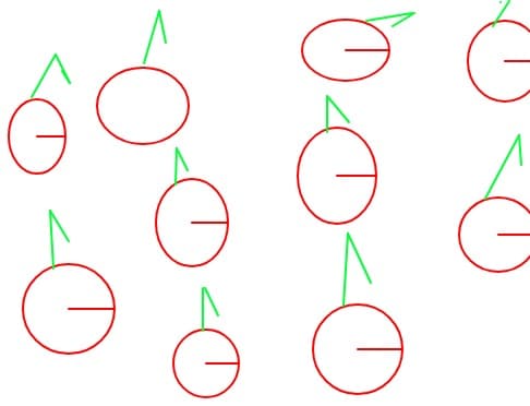 Cirese
