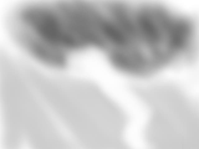 Oare ce o fi asta?