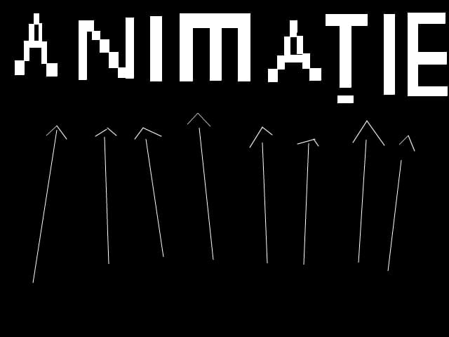 ANIMATIE