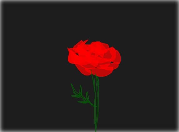 rose