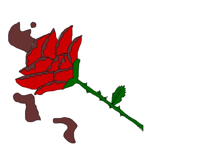chocolate rose