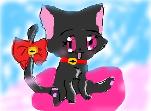 Zoey Cat