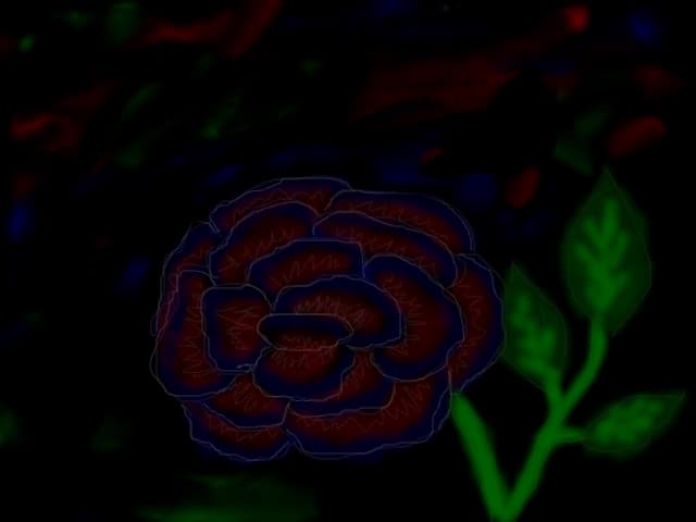 blue-red rose...