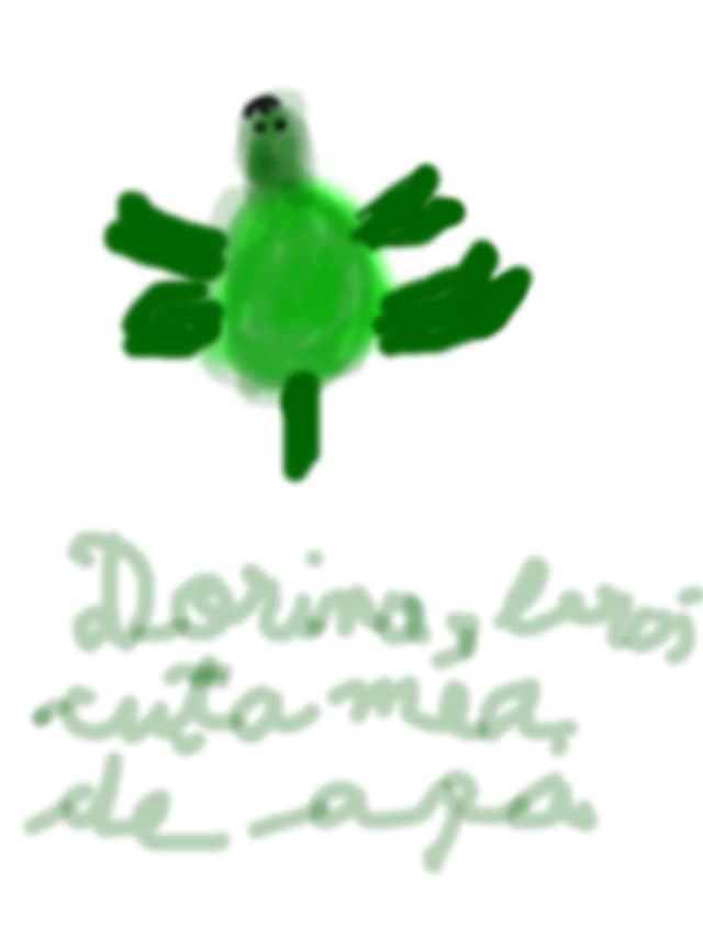 dorina broscuta mea de apa
