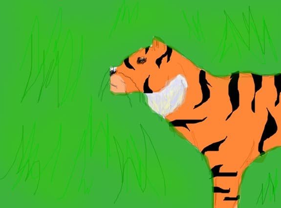tiger