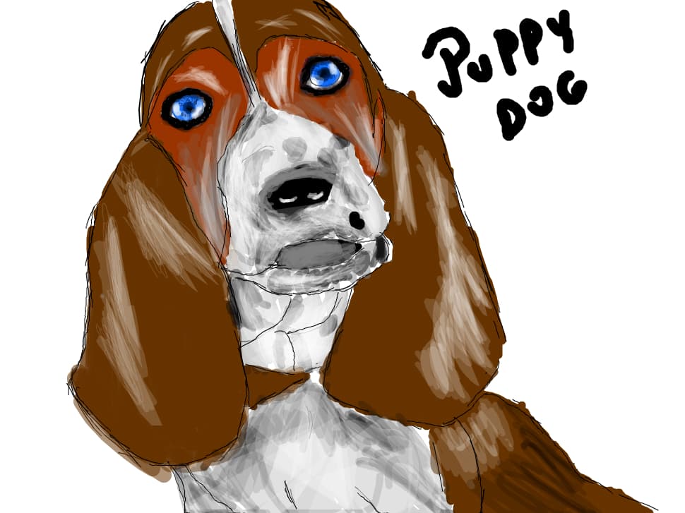 LITTLE DOG