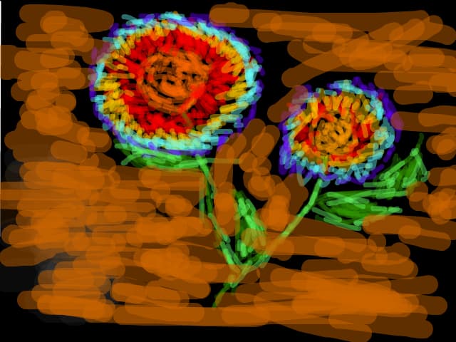 Floare curcubeu