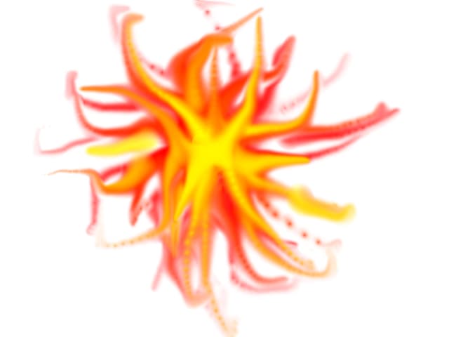 foc
