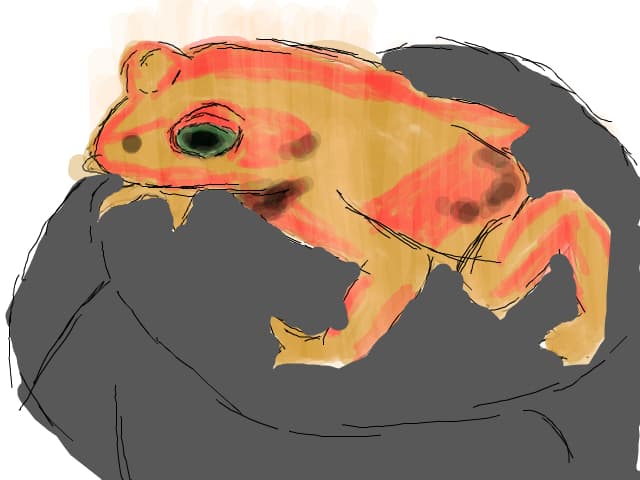 broscuta mea