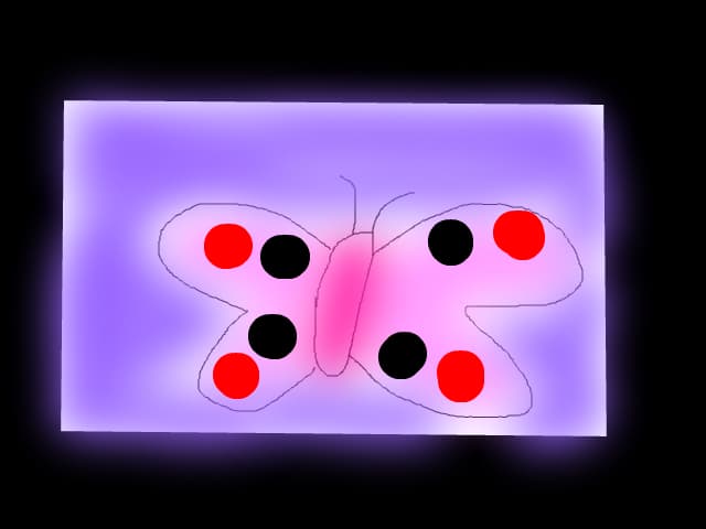 a buterfly