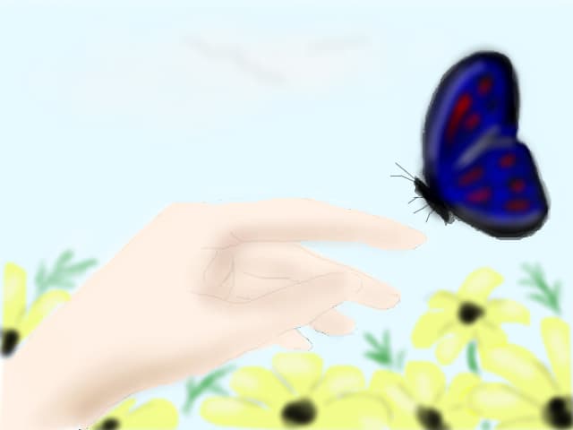 butterfly
