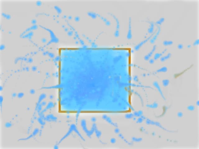 Channel
