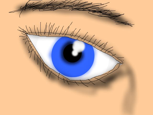 eye