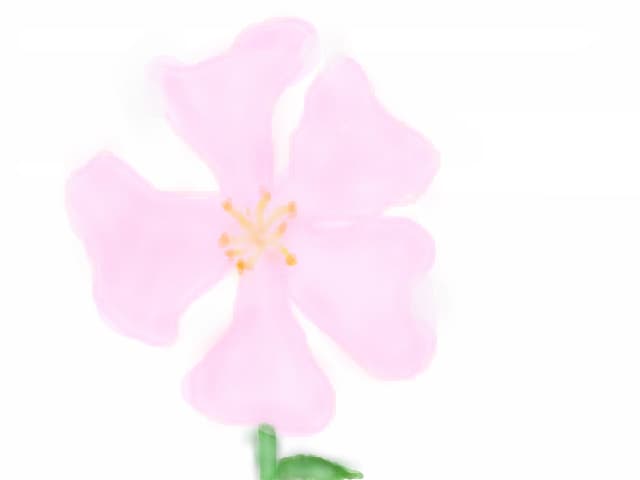 Floare