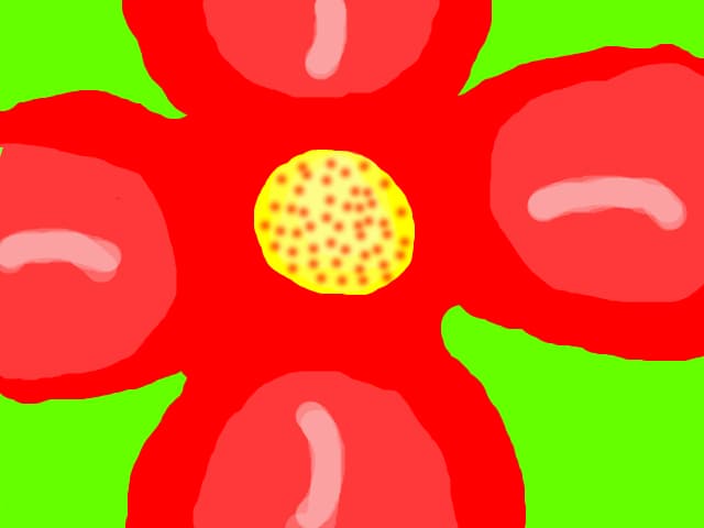 Floricica
