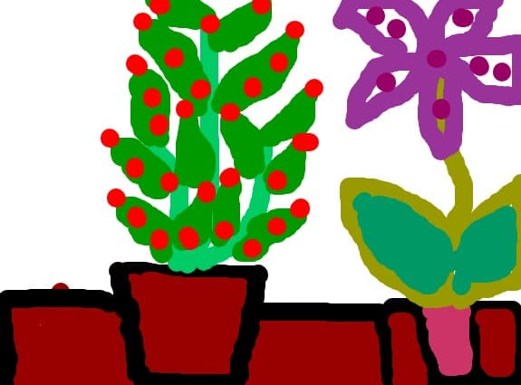 flori