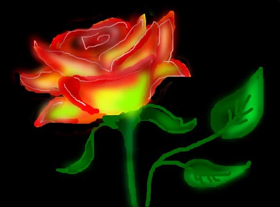rose