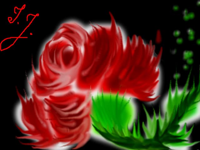 tradafir romantic