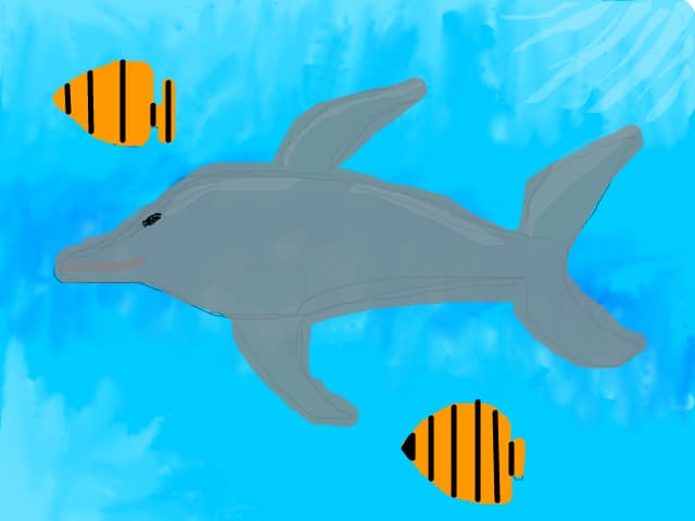 dolphin &amp; fish