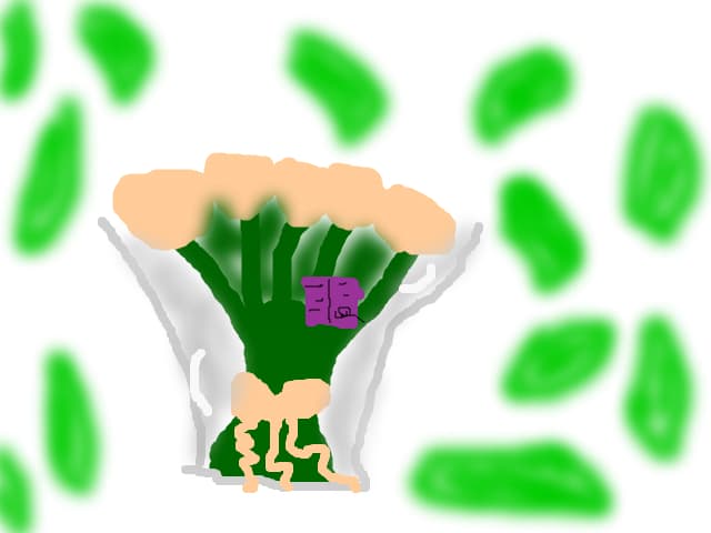 un buchet de  flori cu un biletel