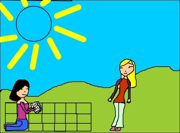 La picnic