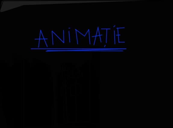 animatie