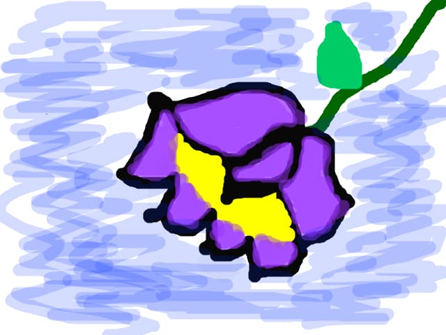 o floare