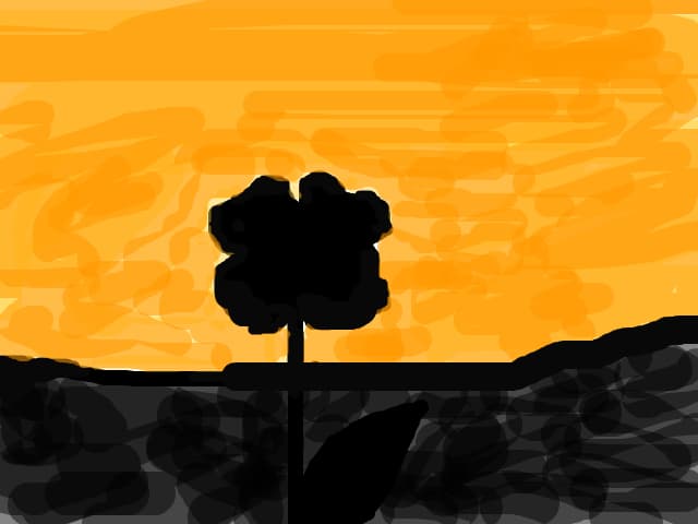 floare si apus