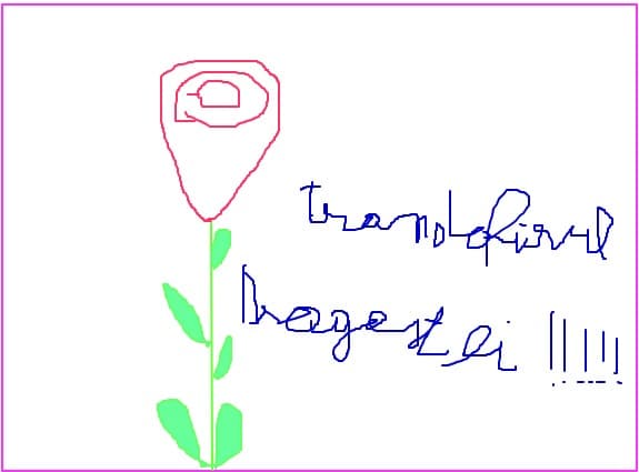 trandafirul