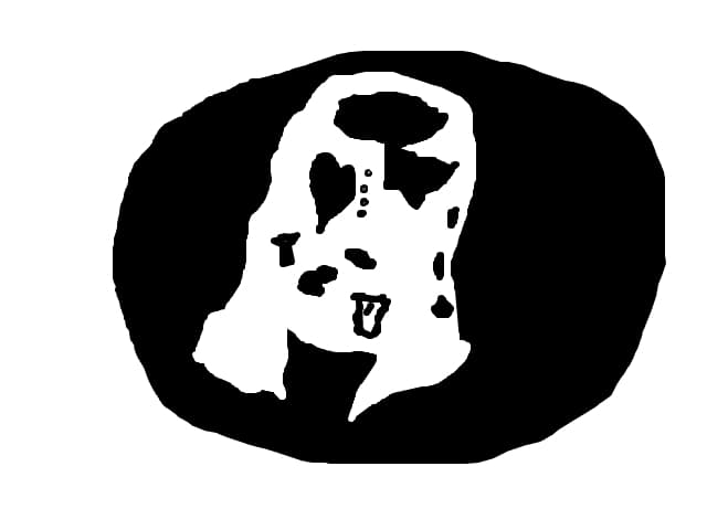iluzie optica
