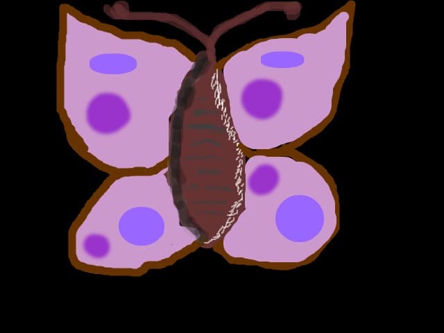 MARIPOSA:x