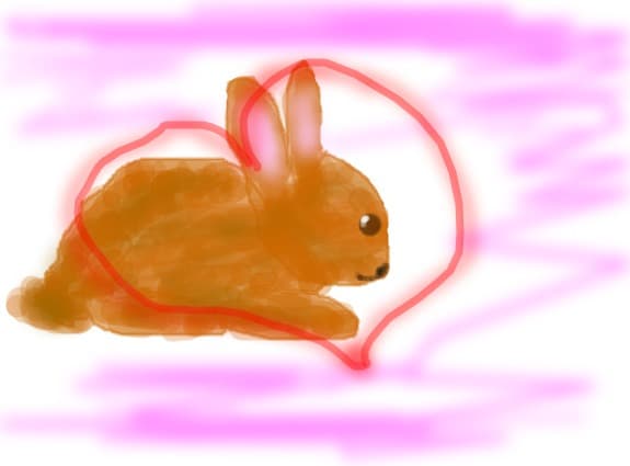 A little bunny!!:*