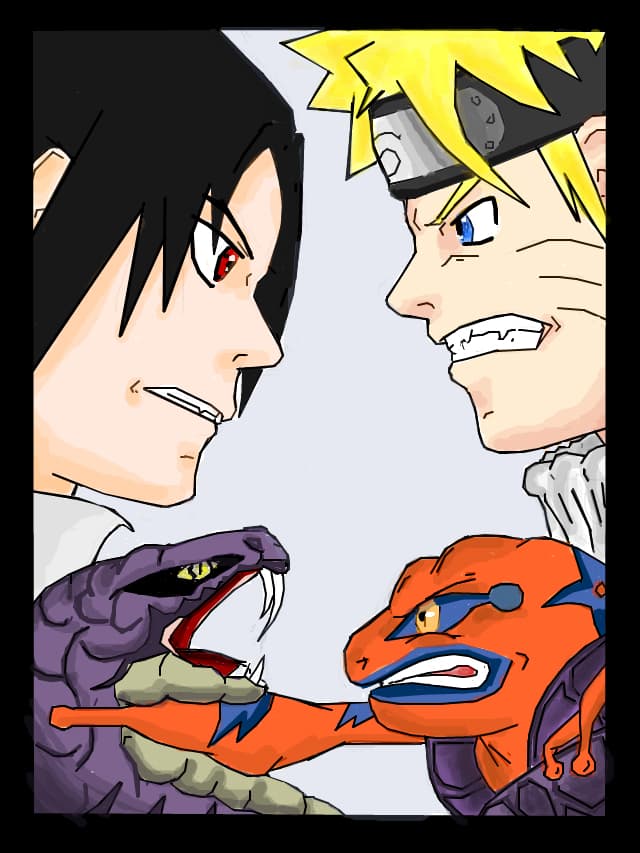 Sasuke VS Naruto ....cine castiga ???