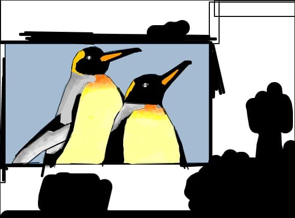 2 pinguini