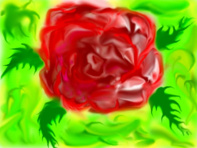Rose